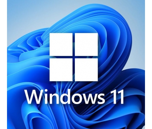 Microsoft - Microsoft - MS Windows 11 Pro HUN 64-bit USB BOX HAV-00154